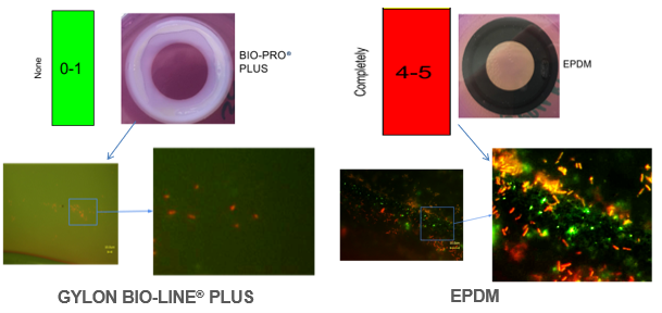 GYLON BIO-PRO® PLUS卡箍垫片