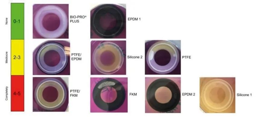 GYLON BIO-PRO® PLUS——生物制药行业的密封材料